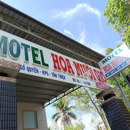 Nha Nghi Hoa Muoi Gio 호텔 Tan Tao 외부 사진